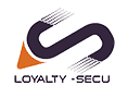 Loyalty-secu PTZ Camera manufacturer in China