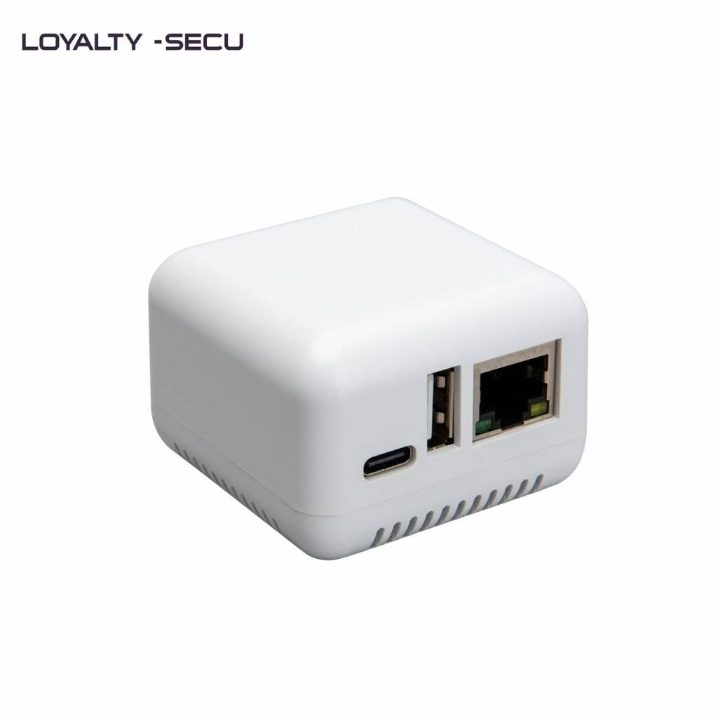 USB Network Print Server